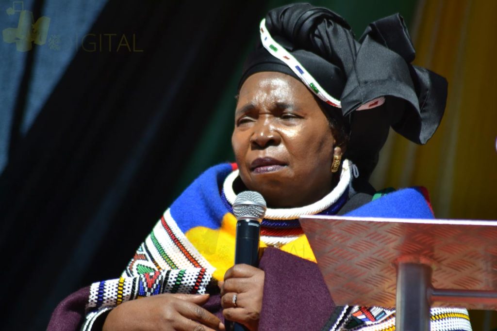 Nkosazana-Dlamini-Zuma20171120 NDZ speaks radical economic change