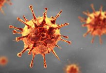 Sappi in Mpumalanga lends a hand for Covid-19 Sappi in Mpumalanga lends a hand for Covid-19