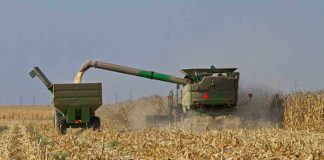 FNB urges farmers to lend a hand for Covid-19 FNB urges farmers to lend a hand for Covid-19