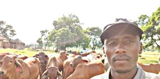New group of young graduates wants their hands dirty in farming New group of young graduates wants their hands dirty in farming