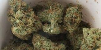 New law will allow people to carry less than 100mg of Zol New law will allow people to carry less than 100mg of Zol