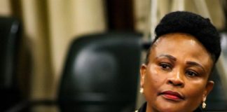 Mandla Msibi reported to Busisiwe Mkhwebane Mandla Msibi reported to Busisiwe Mkhwebane