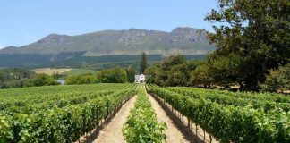 Mpumalanga mining’s threats to agricultural farming Mpumalanga mining's threats to agricultural farming