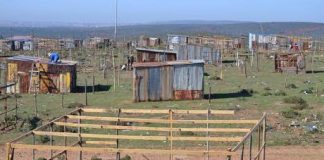 Land occupiers give Mpumalanga Govt tough time Land occupiers give Mpumalanga Govt tough time