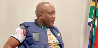 Axed MEC Mandla Msibi granted bail