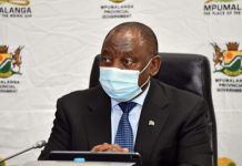 SA plans to roll out vaccine passports SA plans to roll out vaccine passports