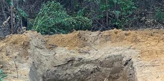 Men found in shallow grave on Valentine’s Day Men found in shallow grave on Valentine's Day