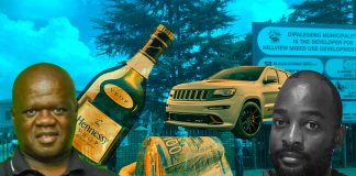 Dipaleseng CFO transfers municipal money to tenderpreneur on a Sunday Dipaleseng CFO transfers municipal money to tenderpreneur on a Sunday