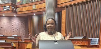 The proposed salaries for Refilwe Tsipane, MECs, Collen Sedibe, Jane Sithole this year The proposed salaries for Refilwe Tsipane, MECs, Collen Sedibe, Jane Sithole this year