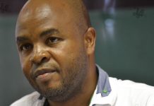 Mandla Ndlovu will become MEC instead of Premier Mandla Ndlovu will become MEC instead of Premier