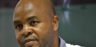 Mandla Ndlovu will become MEC instead of Premier Mandla Ndlovu will become MEC instead of Premier