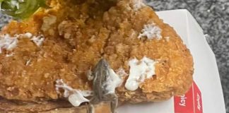 LOOK: Secunda couple finds frog in burger LOOK: Secunda couple finds frog in burger