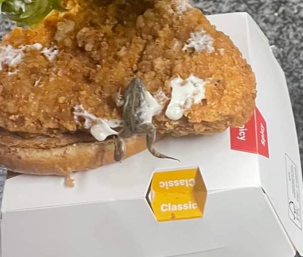 LOOK: Secunda couple finds frog in burger