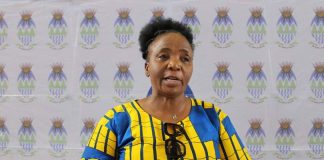 Friddah Nkadimeng survives motion of no confidence Friddah Nkadimeng survives motion of no confidence