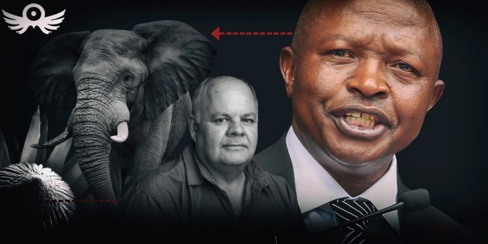 Top Hawks investigators confirm wrangle between DD Mabuza and Fred Daniel