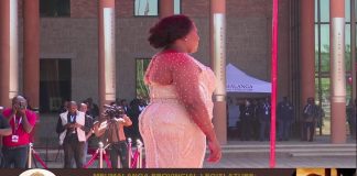 WATCH: 2023 Mpumalanga State of the Province Address